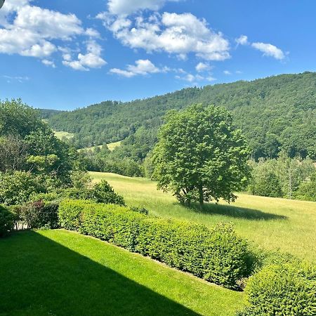 Schoene Aussicht! Langelsheim Kültér fotó