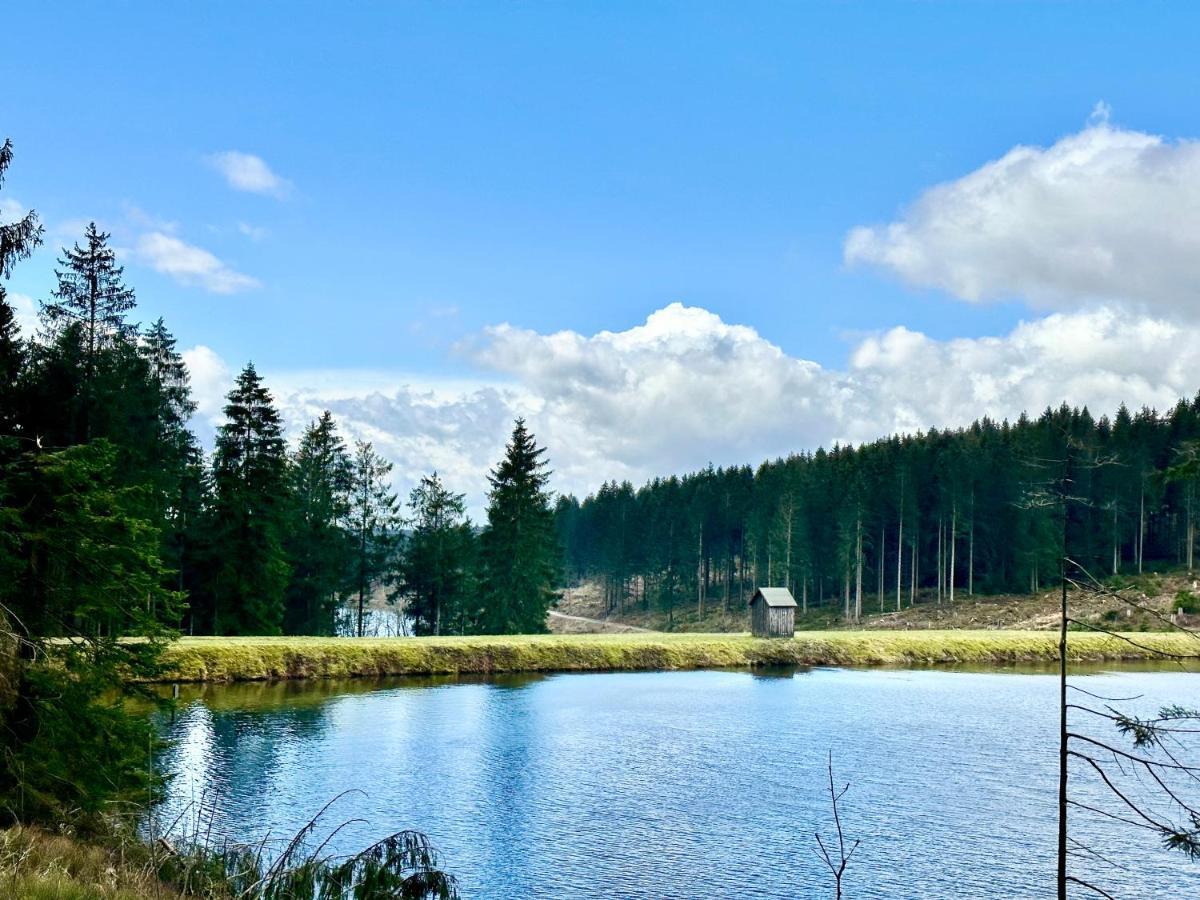 Schoene Aussicht! Langelsheim Kültér fotó